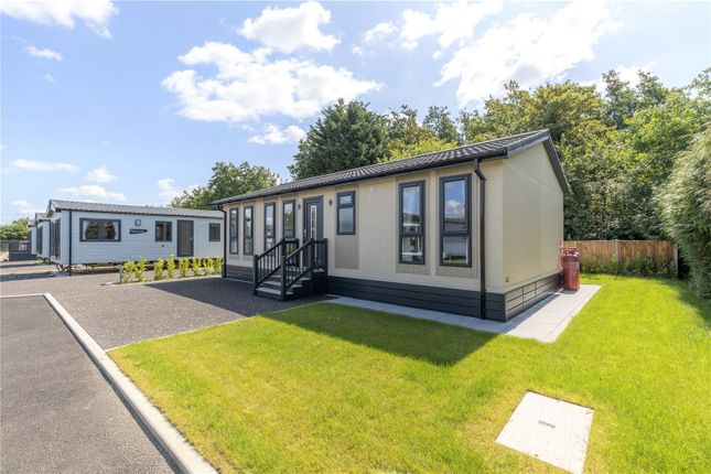 Bungalow for sale in Pampas Park, The Street, Haddiscoe, Norwich, Norfolk