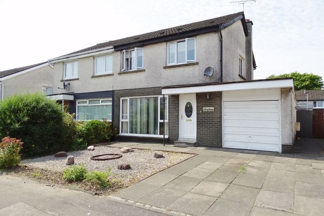 Thumbnail Semi-detached house for sale in Cleuch Avenue, Tullibody, Alloa