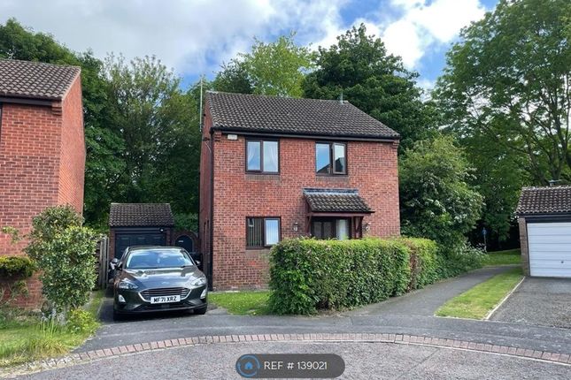 Thumbnail Detached house to rent in Stonehaven Way, Darlington