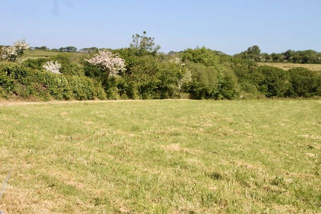 Land for sale in Woodacott, Holsworthy