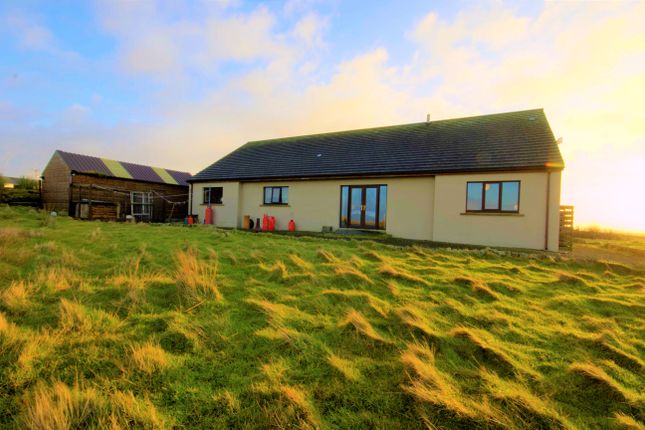 Thumbnail Detached house for sale in New Brimbanks, Eday, Orkney