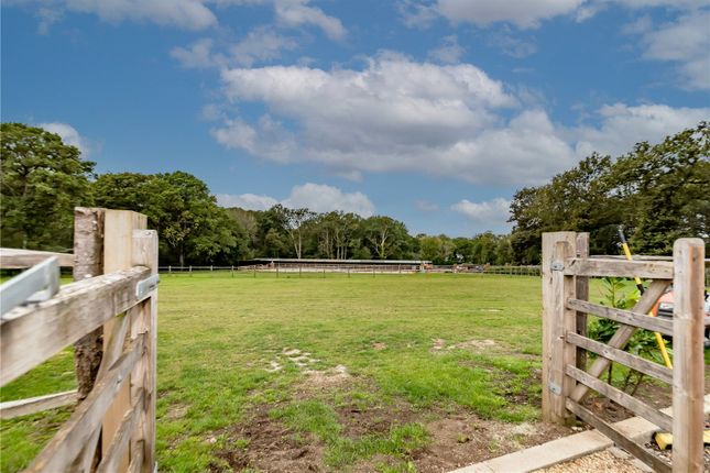 The Patch,, Pound Farm Lane, Ash Green photo 3