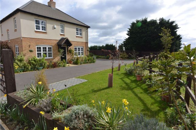 Thumbnail Detached house for sale in Cambridge, Cambridge