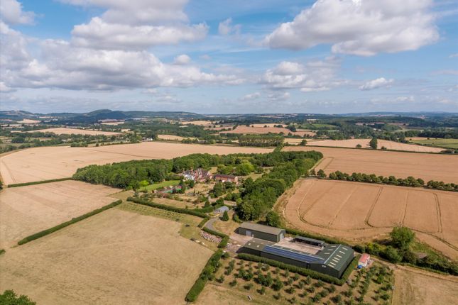 Farm for sale in Holt, Worcester, Worcestershire