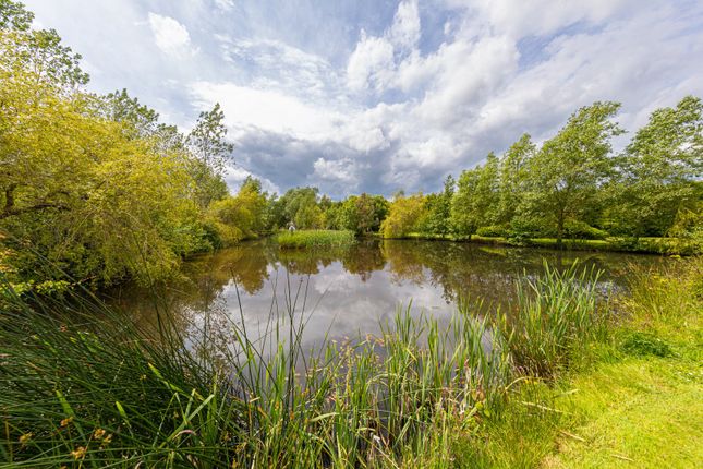 Set In 7 Acres