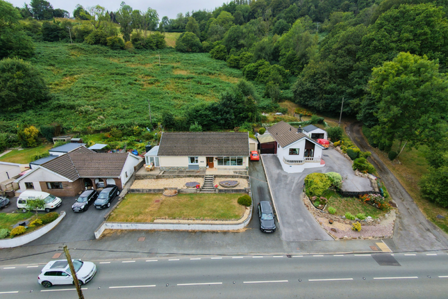 Cynefin, Carmarthen photo 3
