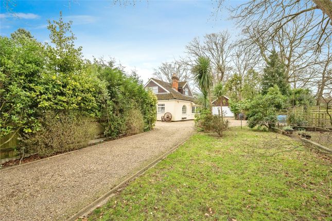 Bungalow for sale in The Avenue, Wroxham, Norwich