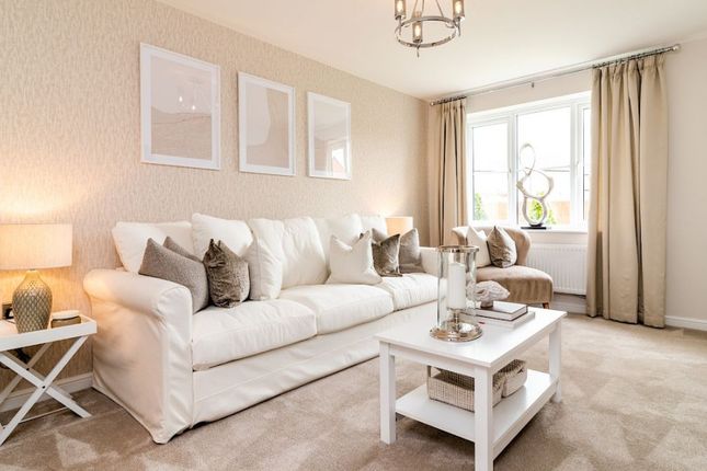 Clyde Terrace, Spennymoor photo 2