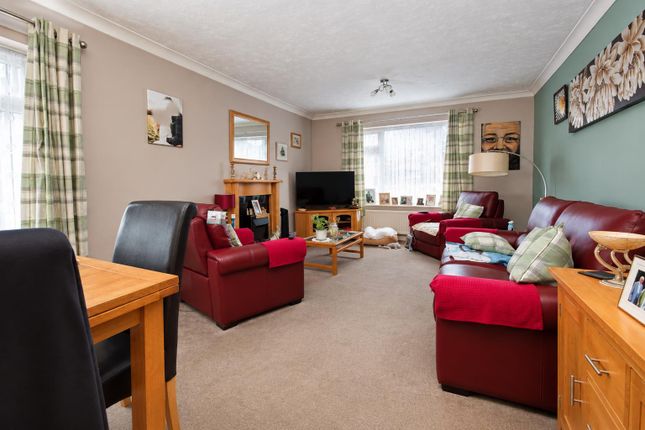 81, Olive Road, Norwich photo 4