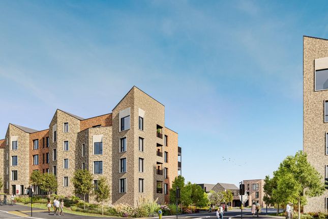 The Penrose, Number 198