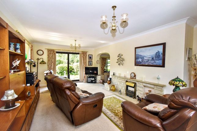 The Gables, Black Torrington photo 4