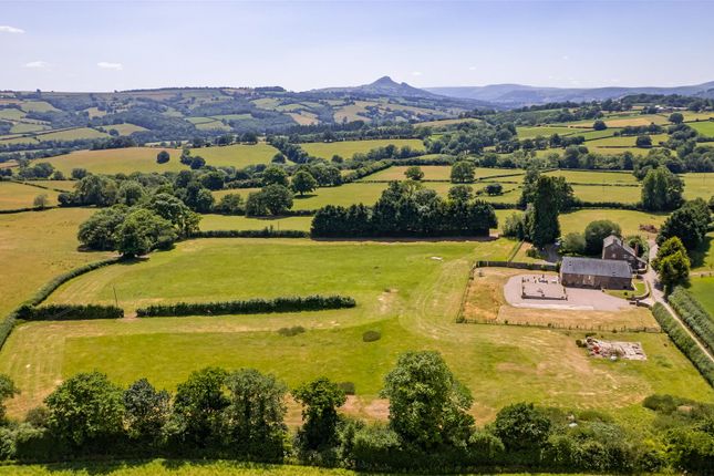 Dji_0666-2.Jpg