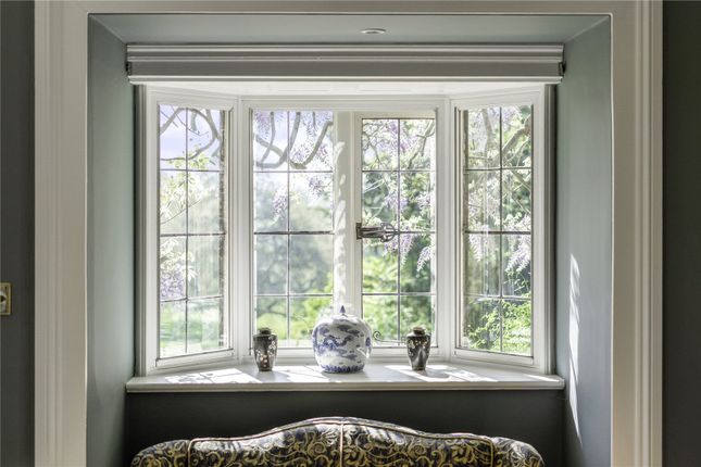 Window