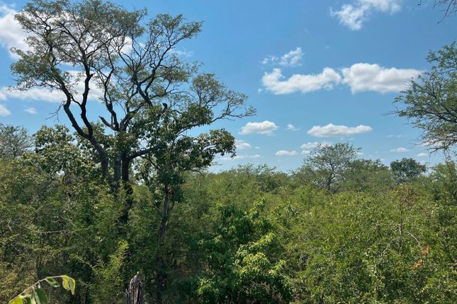 Land for sale in 185 Moria, 185 Moria, Moditlo Nature Reserve, Hoedspruit, Limpopo Province, South Africa