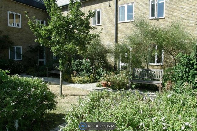 Communal Gardens