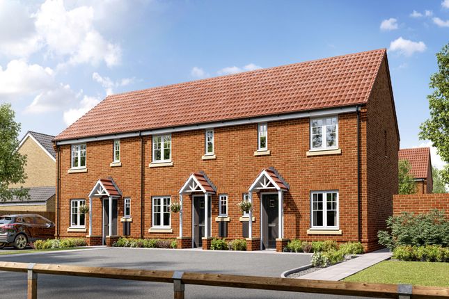 Thumbnail Semi-detached house for sale in "The Danbury" at Burwell Road, Exning, Newmarket