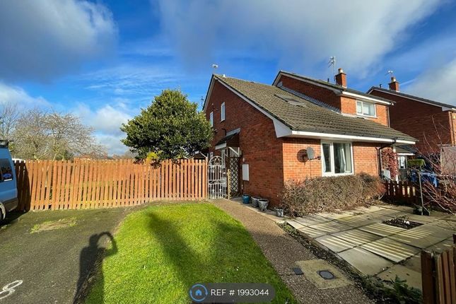 Thumbnail Semi-detached house to rent in Hatchmere Close, Warrington