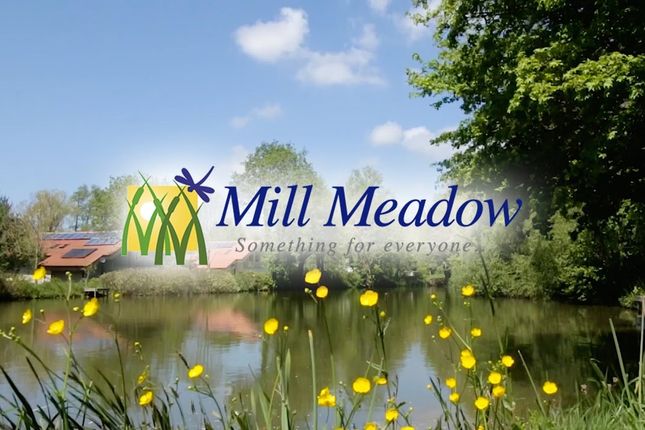 Thumbnail Land for sale in Mill Meadows, Kingston St. Mary, Taunton