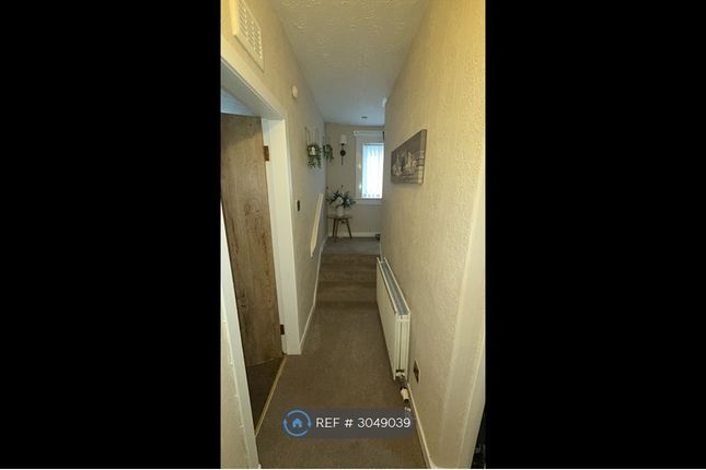 Mansionhouse Road, Camelon, Falkirk photo 5