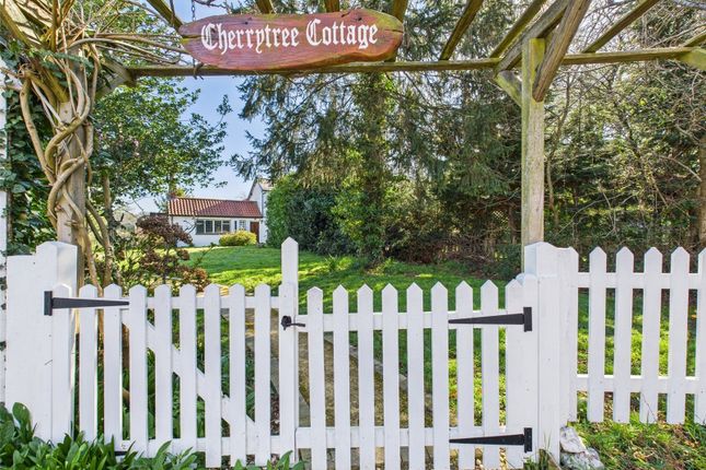 Cherry Tree Cottage,, Stanway Green, Colchester photo 2
