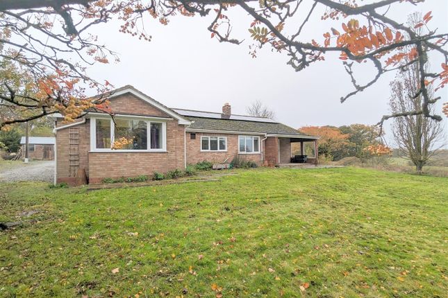Detached bungalow to rent in Stoney Ley, Broadwas, Worcester