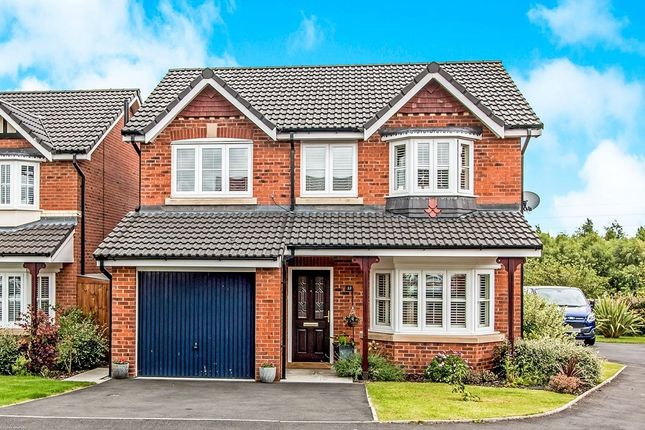 Thumbnail Detached house to rent in Rimsdale Drive, Manchester