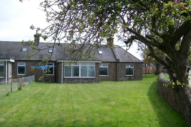 Cottage to rent in Cairnton Cottages, Laurencekirk, Aberdeenshire