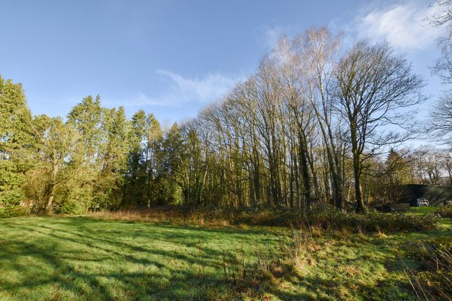 Meiklejohn, Market Drayton photo 4