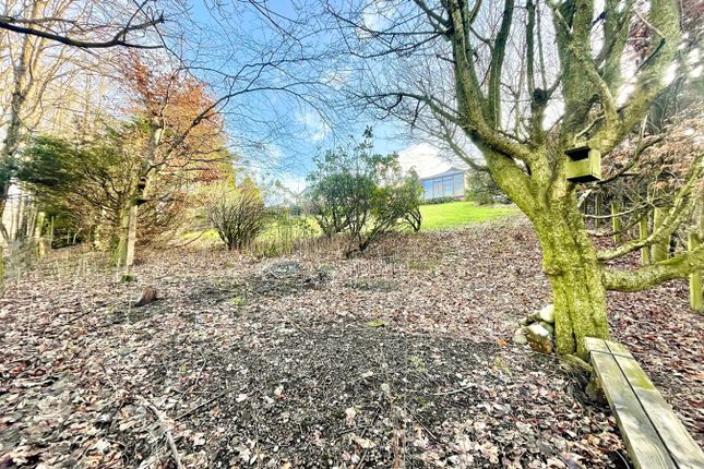 Detached bungalow for sale in 12 Golf View, Muckhart