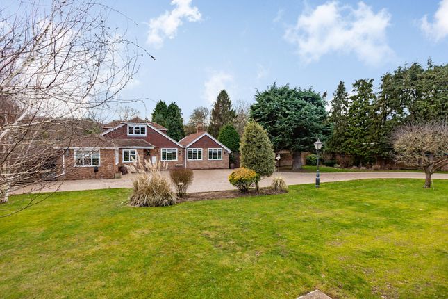 Thumbnail Detached house for sale in Main Road, Longfield