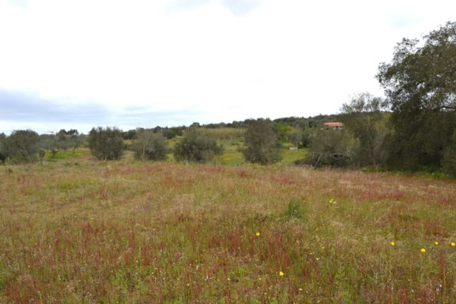 Land for sale in Vila De Frades, Vidigueira, Beja