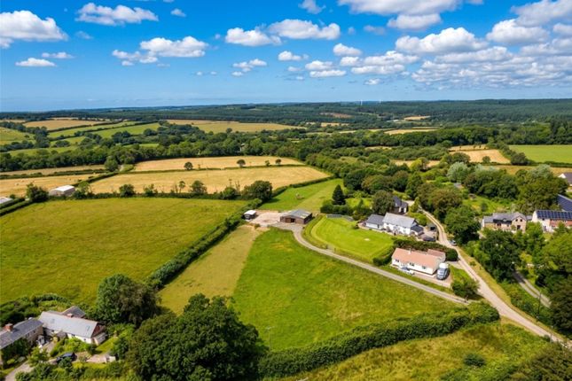 Tolley Farm,, Halwill, Devon photo 3