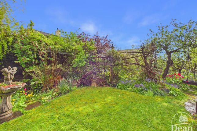 Forest View, Old Road, Coleford photo 2