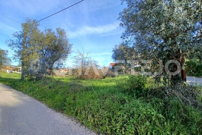 Land for sale in Pai Cabeça, Serra E Junceira, Tomar