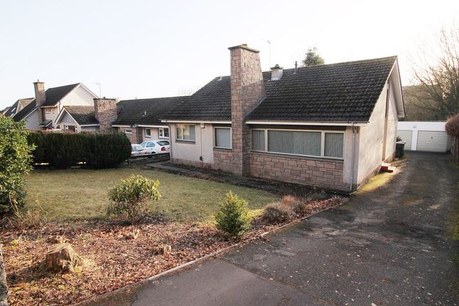 Thumbnail Detached bungalow to rent in Greystane Road, Invergowrie