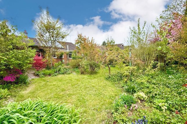 10 Lea Road, Catfield, Great Yarmouth photo 2