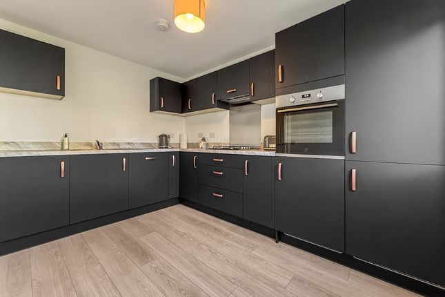 59 Holstein Avenue, Hamilton photo 3