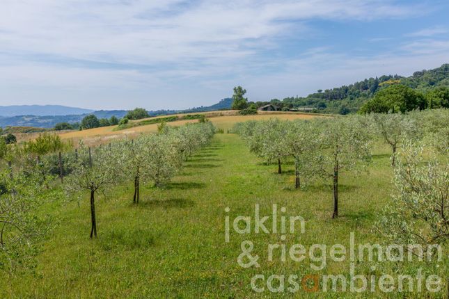 Country house for sale in Italy, Umbria, Perugia, Perugia