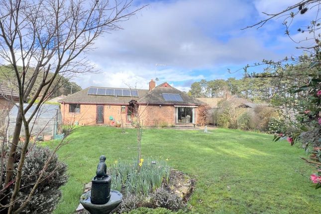 Detached bungalow for sale in Webbs Way, Ashley Heath