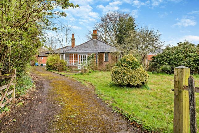 Thumbnail Bungalow for sale in East Lane, Chieveley, Newbury, Berkshire