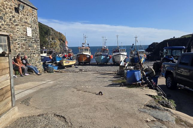 Peny-Craig,, Cadgwith, Helston photo 4