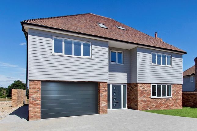 Thumbnail Detached house for sale in Thorne Place, Bexhill-On-Sea