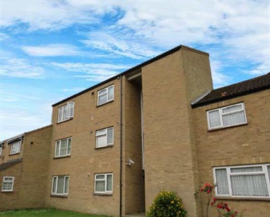 Thumbnail Flat to rent in West Drive Gardens, Soham, Ely