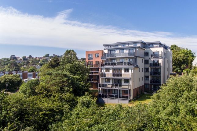 New Homes For Sale In Torquay Zoopla