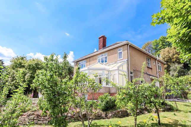 House And Garden