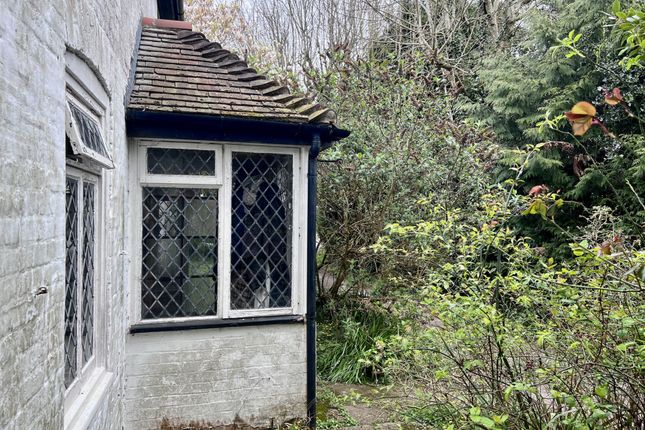 Alder Cottage, Mill Lane, Dover photo 4