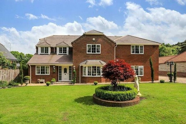 Thumbnail Detached house for sale in New Road, Landford, Salisbury, Wiltshire