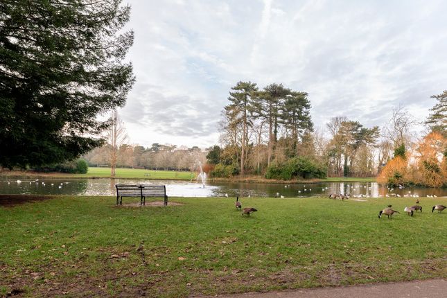 Bedford Park