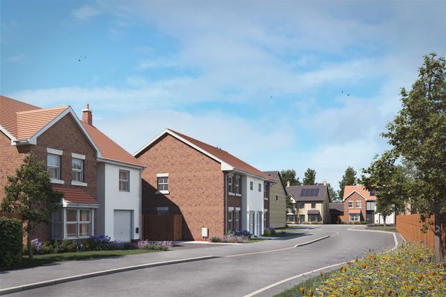 Plot 14, The Daisy,, Westacre Meadows, Holme Road, Market Weighton photo 4