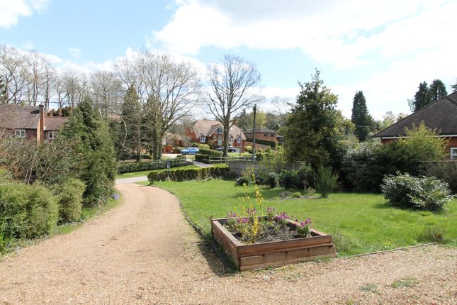 Bungalow for sale in Witley, Godalming, Surrey